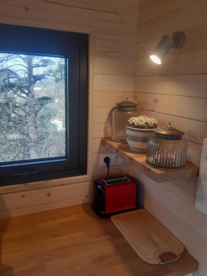 Micro Maison Bois / Tiny House Au Calme Crest Buitenkant foto